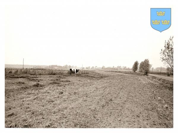 : Panorama zachodniej części Żarnowca. Ujęcie z drogi do Chliny, od strony południowej.